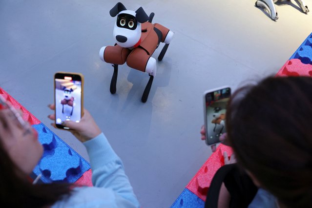 Media members film a Baby Alpha robot dog during an organised media tour to Robot Mall, a store selling humanoid and other robots, in Beijing, China on August 6, 2025. (Photo by Florence Lo/Reuters)