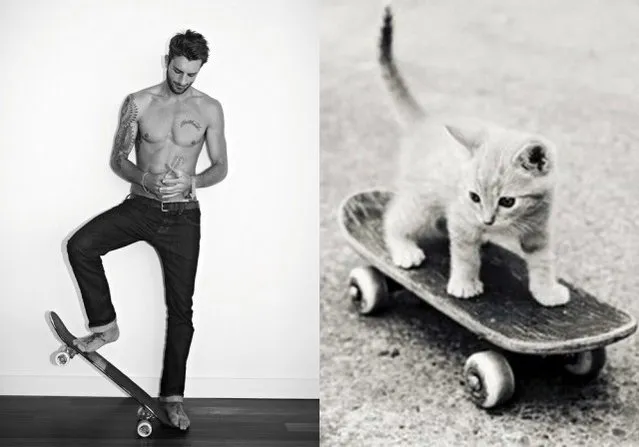 Hot Guys and Cats Striking Part4