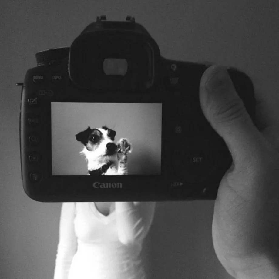Portraits of Pets and Their Owners By Zach Rose