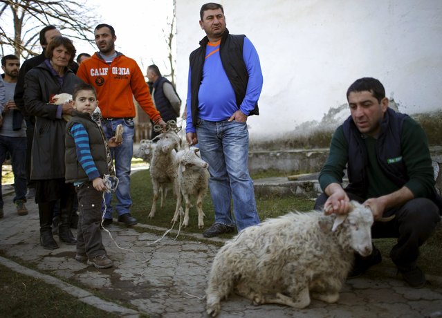 People stand with sheep for sacrifice outside a church during St. George's Day celebration in the village of Ikalto, Georgia, November 23, 2015. Georgia marks on Monday one of its most popular religious and public holidays. (Photo by David Mdzinarishvili/Reuters)