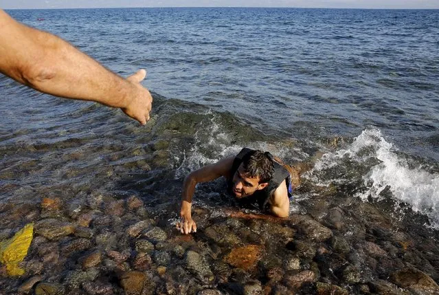 A local man helps a Syrian refugee who jumped from a dinghy as he swims exhausted at a beach on the Greek island of Lesbos September 17, 2015. (Photo by Yannis Behrakis/Reuters)