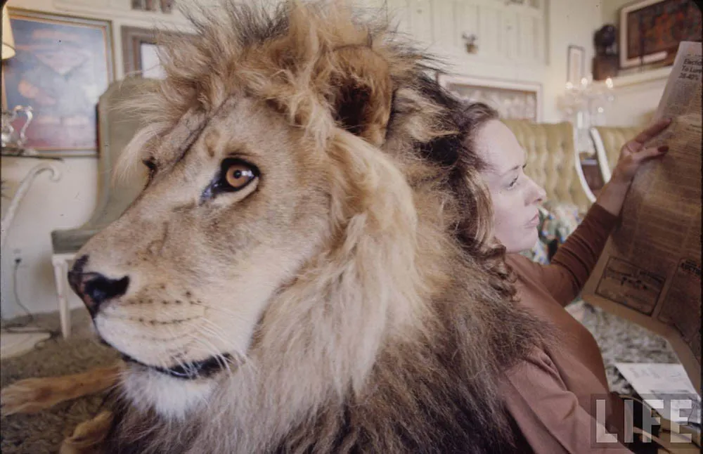 Melanie Griffith Grew Up with Lions