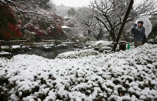 A visitor takes a photo in the snow at the Hase temple in Kamakura, near Tokyo, Thursday, November 24, 2016. (Photo by Shizuo Kambayashi/AP Photo)