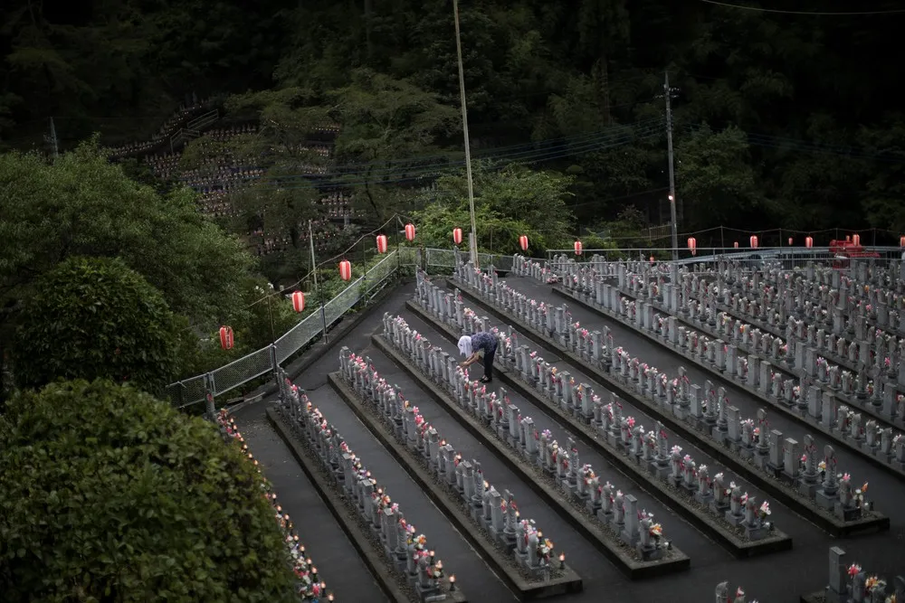 A Look at Life in Japan