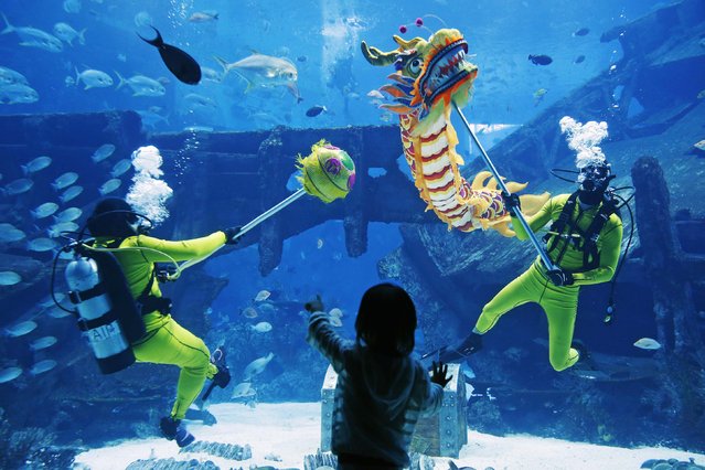 Divers perform a dragon dance at the Shipwreck Habitat of the S.E.A. Aquarium as part of the festive Chinese New Year celebrations in Sentosa, Singapore February 14, 2015. The Chinese Lunar New Year on Feb. 19 will welcome the Year of the Sheep (also known as the Year of the Goat or Ram). (Photo by Edgar Su/Reuters)