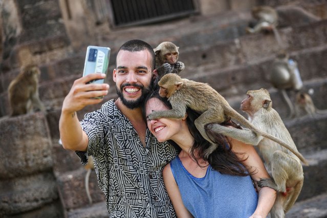 Monkeys climb onto tourists during the annual Monkey Festival in Lopburi province, Thailand on November 26, 2023. (Photo by Chalinee Thirasupa/Reuters)