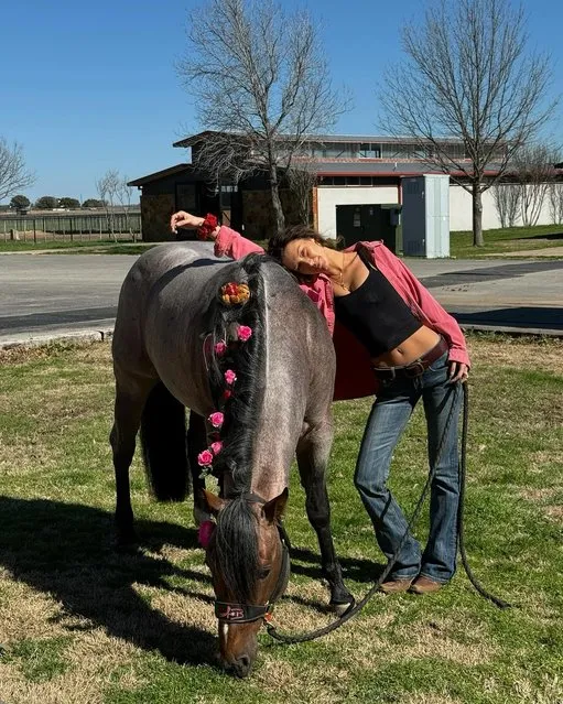 American fashion model Bella Hadid rests her head on one of her horses in the second decade of February 2024. (Photo by bellahadid/Instagram)