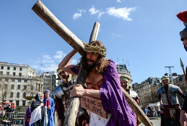 Actor James Burke-Dunsmore carries the crucifix whilst playing Jesus during The Wintershall's “The Passion of Jesus” in front of crowds on Good Friday at Trafalgar Square on March 25, 2016 in London, England. (Photo by Chris Ratcliffe/Getty Images)