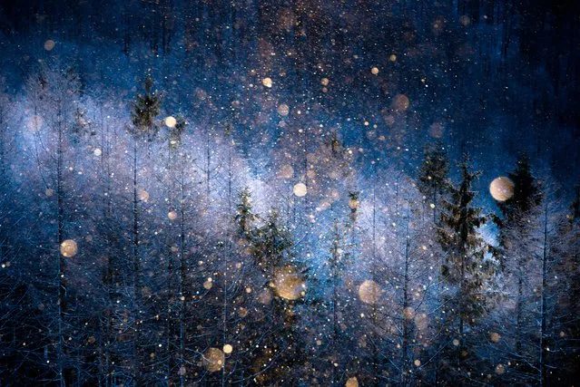 Nature category, open shortlist. “Diamond-dust”. A picture taken in Nagano-ken, Japan, at an altitude of about 1,700 metres. Diamond dust can be seen on only a few occasions during the cold season. (Photo and caption by Masayasu Sakuma/2017 Sony World Photography Awards)