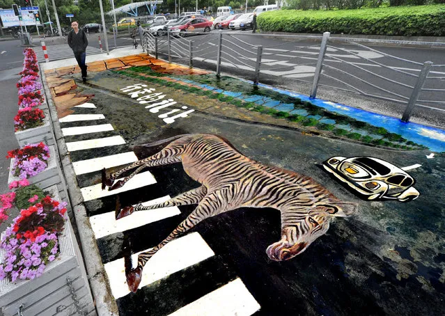 A man walks near a 3D zebra crossing painting in Shanghai, May 8, 2016. (Photo by Reuters/Stringer)