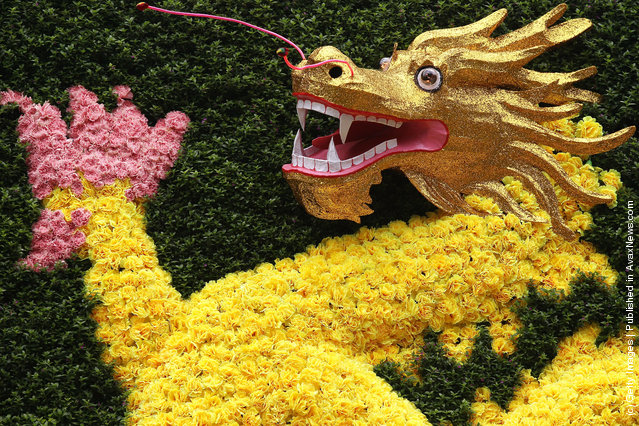 Singapore Sentosa Flower Show In Full Bloom