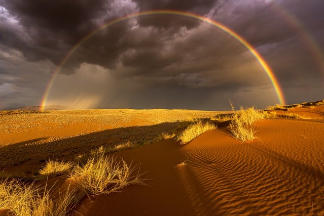  Rain in the Desert. “Over the last seven years I had one aim: to photograph rain in the driest desert of Africa”, said photographer Stefan Forster. “In 2015 finally I found the rain. In the breathtaking scenery of the Namibrand-Park right at the border of the Namib Naukluft Nationalpark. An enormous thunderstorm came in and the setting sun created a wonderful rainbow. The challenge was, to not have my shadow in the picture”. (Photo by Stefan Forster/National Geographic Travel Photographer of the Year Contest)
