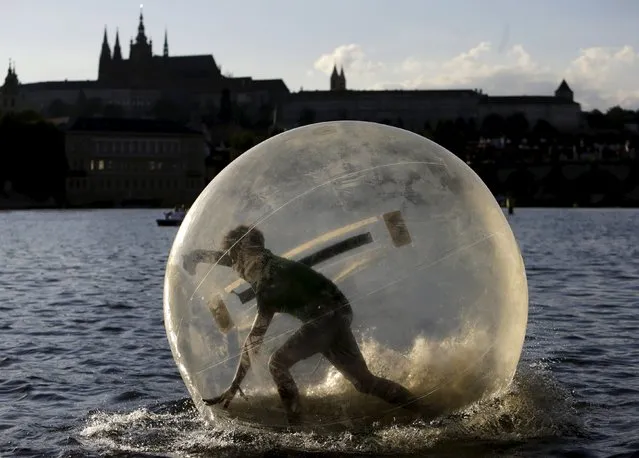 A man plays inside a giant plastic ball, called Zorb on the Vltava river as temperatures hovered over 34 degrees Celsius (93 degrees Fahrenheit) in Prague, Czech Republic, July 21, 2015. (Photo by David W. Cerny/Reuters)