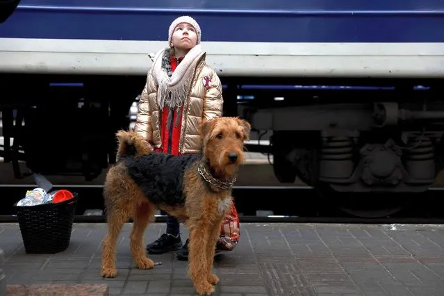 Alena Pisarenko and her dog, Reisi, arrive via train to the main station from the besieged city of Mariupol on March 31, 2022 in Lviv, Ukraine. Her mother said they are trying to make it to Paris where a relative lives. More than four million people have fled Ukraine since the Russian invasion of that country on February 24. Millions more have been internally displaced. (Photo by Joe Raedle/Getty Images)