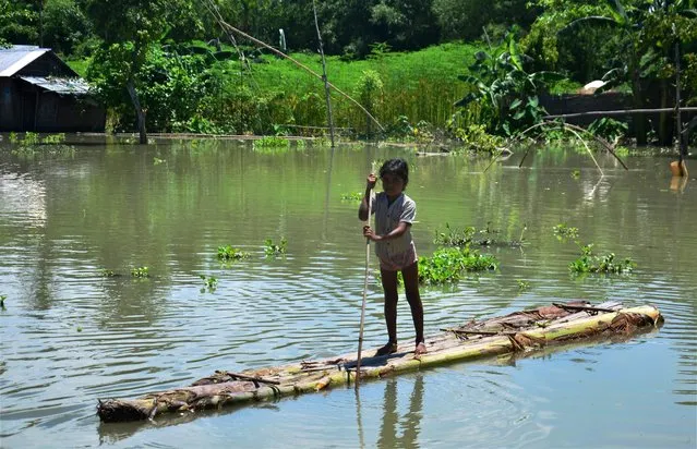 A girl rows a banana raft in a flood affected area in Kamrup district of Assam on Friday, July 14, 2017. (Photo by Press Trust of India Photo)