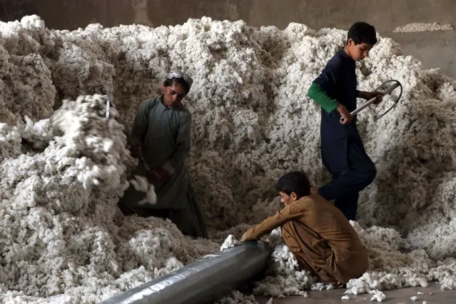 Laborers sort cotton sacks at a factory in Kandahar, Afghanistan, 11 June 2022. According to the Kandahar Chamber of Commerce, there are 22 cotton processing factories in Kandahar Industrial Park, which produces around two thousand tons of cotton, which as well as the usual export to Pakistan, for the first time a major part of the cotton was exported to Iran and Turkey, and the rest used as raw material for the oil industry, animal feed and the soap industry. These factories are the only factories which have activity in Kandahar. (Photo by EPA/EFE/Stringer)