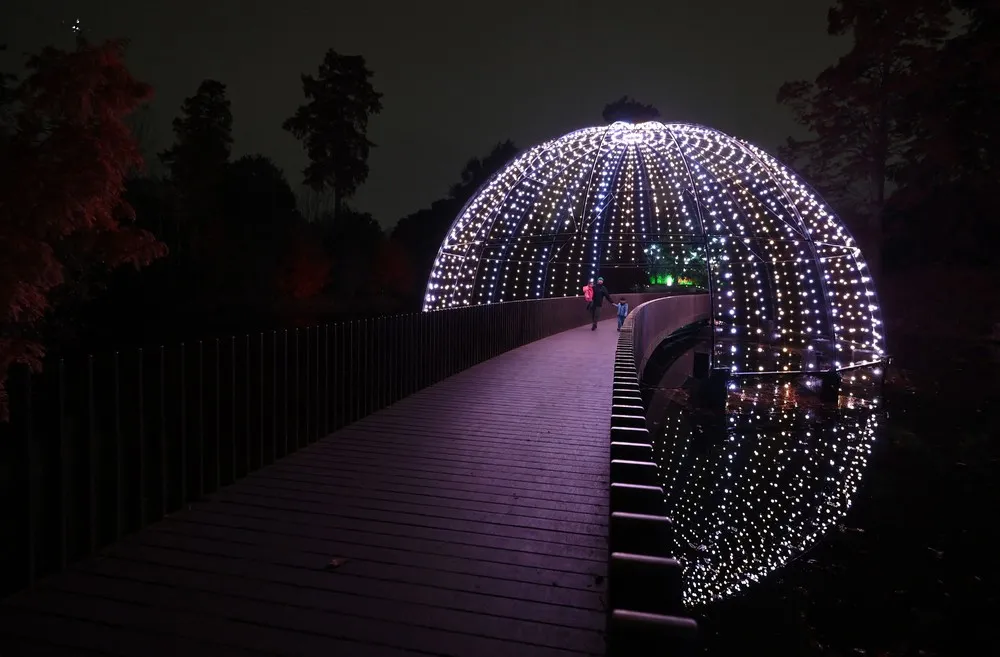 Pictures of the Year 2021, Part 89/102