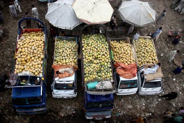 Fruit sellers sell fruit at a fruit market in Karachi, Pakistan, 26 May 2017. (Photo by Shahzaib Akber/EPA)