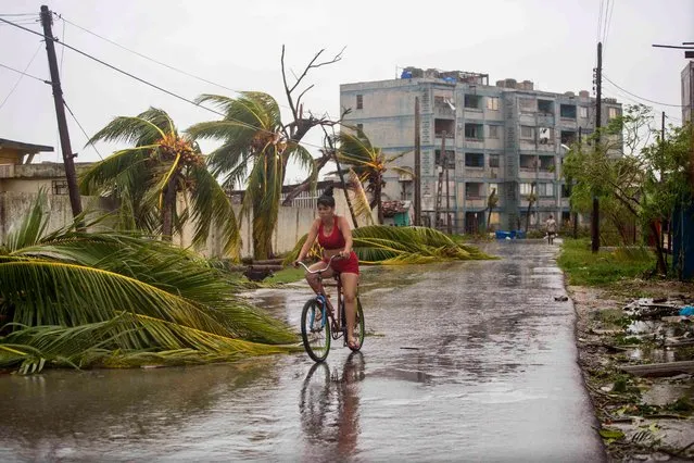 A woman rides a bike past palm trees felled by Hurricane Irma, in Caibarien, Cuba, Saturday, September 9, 2017. There were no reports of deaths or injuries after heavy rain and winds from Irma lashed northeastern Cuba. Seawater surged three blocks inland in Caibarien. (Photo by Desmond Boylan/AP Photo)