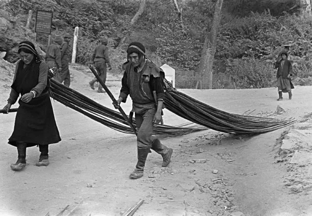 Two Tibetans haul long sticks of wood along a mountain road in the North East Frontier Area as they aid the Indians in battling the Chinese Red invaders, November 15, 1962. The Tibetans, refugees from the fighting front, had settled in the area after being driven from their home. (Photo by Dennis Lee Royle/AP Photo/File)
