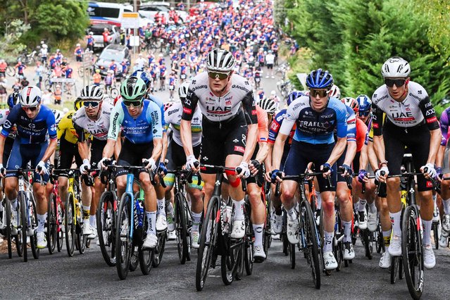 UAE Team Emirates rider Julius Johansen from Denmark (C) leads the peloton during the men's stage 3 of the Tour Down Under cycling race in Adelaide on January 23, 2025. (Photo by Brenton Edwards/AFP Photo)