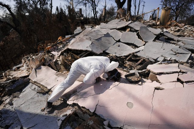 John Borbone searches through his fire-ravaged property after the Palisades Fire in the Pacific Palisades neighborhood of Los Angeles, Tuesday, January 28, 2025. (Photo by Jae C. Hong/AP Photo)