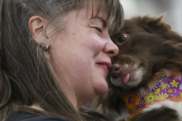 Alicia Bismore with her dog Dazy, waits for the flyball tournament at the 149th Westminster Kennel Club Dog show, Saturday, February 8, 2025, in New York. (Photo by Heather Khalifa/AP Photo)