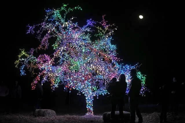 The moon rises beyond the Lee's Summit Magic Tree on Wednesday, December 22, 2021, in Lee's Summit, Mo. The lone modest tree in a field next to a freeway is covered with more than 12,000 lights and attracts thousands of visitors every Christmas season. (Photo by Charlie Riedel/AP Photo)