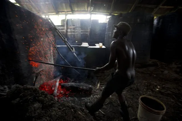 In this June 16, 2017 photo, Batel Delciner, 23, removes wood from a furnace to lower the heat cooking sugar juice at the Ti Jean distillery, which produces clairin, a sugar-based alcoholic drink, in Leogane, Haiti. The broth is cooked for about four hours after a fermentation period of four to eight days. (Photo by Dieu Nalio Chery/AP Photo)