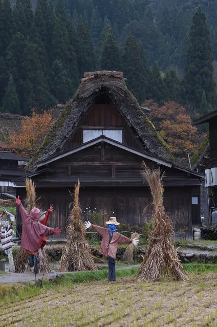 The traditional farm houses and coloured leaves at Shirakawa-go, the UNESCO World Heritage site on November 9, 2014 in Shirakawa, Japan. (Photo by Kaz Photography/Getty Images)