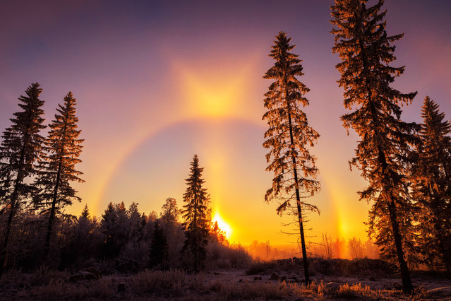Amazing halo that appeared in the sky on November 22, 2022 in Vuokatinvaara Hill, Vuokatti, Finland.These pictures show a purple skyline as the golden light pierces through the cloud to create a halo effect. (Photo by Valtteri Mulkahainen/Caters News Agency)