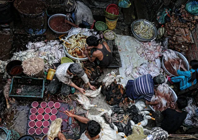 Poultry Prepared for Market. The Asia Pacific prize went to Peter Graney for this photograph taken in Phnom Penh, Cambodia. (Photo by Peter Graney)