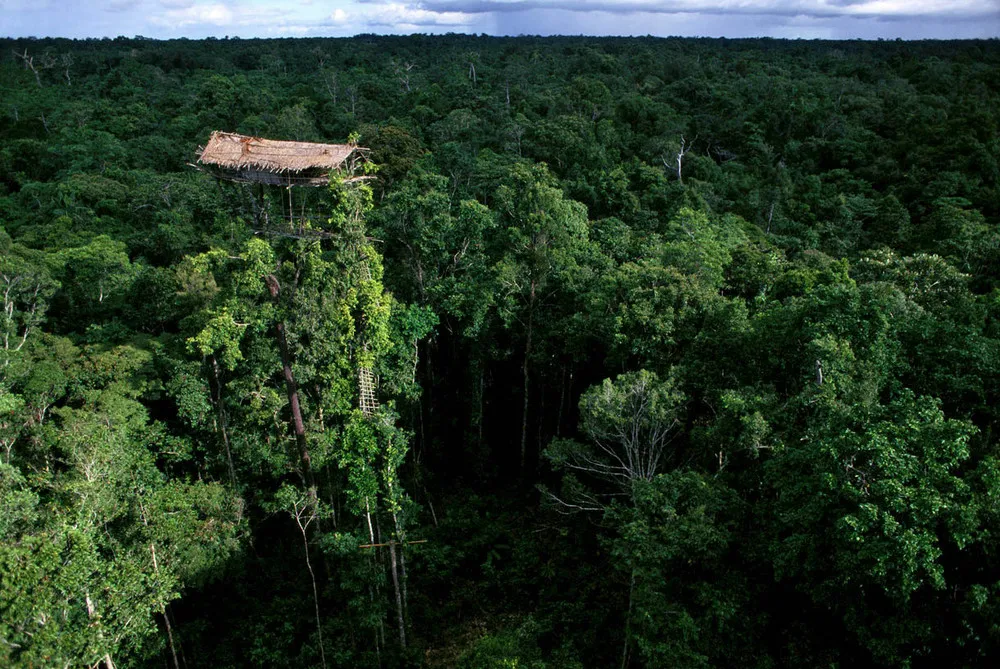 Korowai People