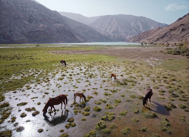 An aerial photo shows horses grazing on the grassland in Tashkurgan County, Xinjiang Uyghur Autonomous Region, China, 12 August 2025. Tashkurgan Tajik Autonomous County is an autonomous county located in Kashgar Prefecture, Xinjiang, China, serving as home to the Tajik ethnic group, one of the 56 nationalities recognized by the Chinese government. (Photo by Alex Plavevski/EPA)