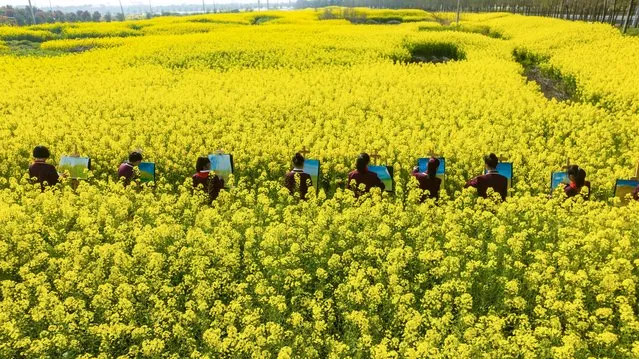 Students draw pictures among blossoming rapeseed flowers in Haian, Nantong city, in China's eastern Jiangsu province on March 28, 2023. (Photo by AFP Photo/China Stringer Network)