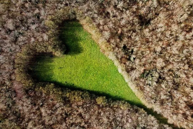 A heart-shaped clearing can be seen in woodland where Winston Howes planted 6,000 oak trees in a six-acre field on his farm, leaving the clearing in the middle as a tribute to his late wife Janet to whom he was married for 33 years, in Wickwar, Gloucestershire, Britain, February 11, 2022. (Photo by Carl Recine/Reuters)