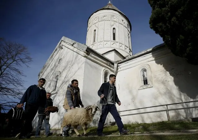 People walk around a church with a sheep for sacrifice during St. George's Day celebration in the village of Ikalto, Georgia, November 23, 2015. (Photo by David Mdzinarishvili/Reuters)
