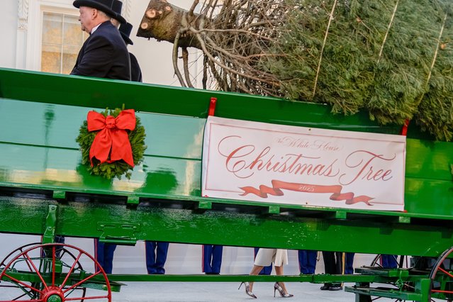 First lady Melania Trump arrives to receive the official 2025 White House Christmas Tree, a white fir from Korson's Tree Farms in Michigan, near the North Portico of the White House, Monday, November 24, 2025, in Washington. (Photo by Julia Demaree Nikhinson/AP Photo)