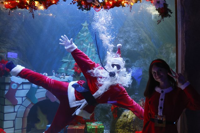 A person in a Santa Claus costume dives and poses at the Guadalajara Zoo Aquarium in Guadalajara, Mexico, 12 December 2025. (Photo by Francisco Guasco/EPA)