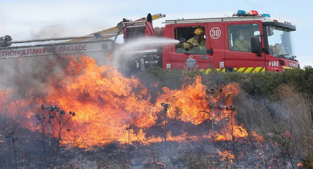 Members of the Metropolitan Fire Brigade (MFB) battle against a fast moving grass fire in the Epping area in the northern suburbs of Melbourne,  Australia, 19 December 2015. Strong wind gusts up to 80kph are expected to make firefighters' jobs difficult in dry conditions. (Photo by David Crosling/EPA)