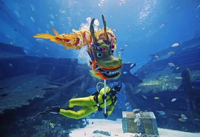 A diver performs a dragon dance at the Shipwreck Habitat of the S.E.A. Aquarium as part of the festive Chinese New Year celebrations in Sentosa, Singapore February 14, 2015. (Photo by Edgar Su/Reuters)