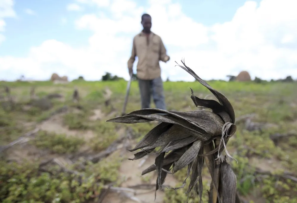 El Niño Worsens Drought in Southern Africa