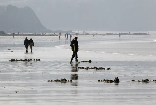 A man digs for shellfish during a record low tide on Kerlaz beach near Douarnenez in western France, March 21, 2015. (Photo by Mal Langsdon/Reuters)