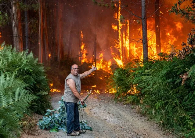 A resident tries puts out a fire with a tree branch as his sees the forest lands surrounding his home burning on July 13, 2022 in Albergaria a Velha, Portugal. Wildfires have swept across the central part of the country amid temperatures exceeding 40 degrees celsius. (Photo by Octavio Passos/Getty Images)