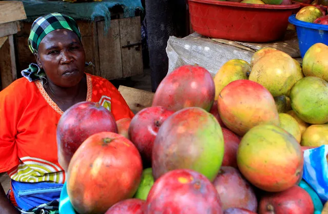 A woman sells fruits in a market in Kasese, the hometown of King of the Rwenzururu Charles Wesley Mumbere, as calm returns a week after a gun fight between Uganda security and the king's royal guards, in Kasese town western Uganda bordering with Democratic Republic of Congo, December 1, 2016. (Photo by James Akena/Reuters)