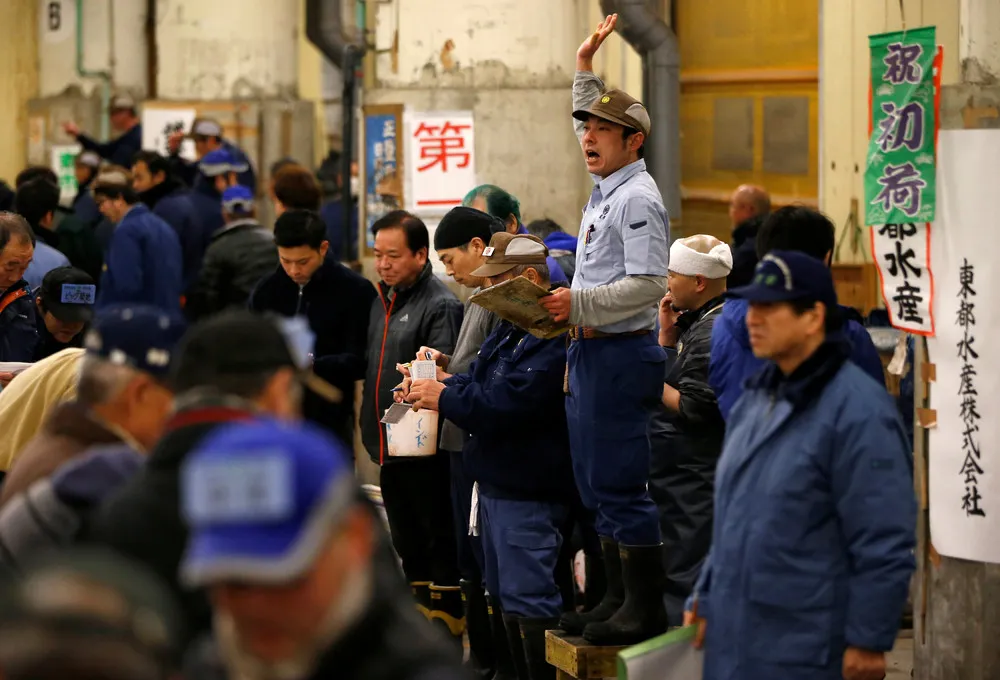 1st Tsukiji Auction of 2017
