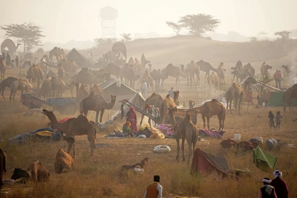 A Look at Life in India, Part 2/2