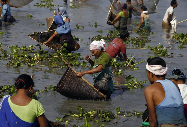 Villagers with their fishing nets participate in a community fishing event at a lake at Sonapur area in Assam January 14, 2015. (Photo by Reuters/Stringer)