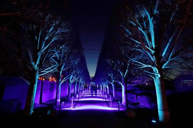 Visitors to the Chicago Botanic Garden's Lightscape holiday experience of light and music, pass through the constantly changing light of “Love and Be Loved”, created by Chicago artists Lee Fiskness and Travis Shupe, in Glencoe, Ill., on Thursday, December 14, 2023. (Photo by Charles Rex Arbogast/AP Photo)