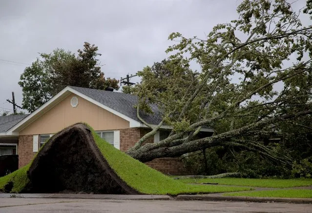 An uprooted tree lays on a house as Hurricane Ida hits Morgan City, Louisiana, the United States, on August 29, 2021. Dangerous high-end category 4 Hurricane Ida on Sunday made landfall with maximum sustained winds of 150 miles (about 240 km) per hour just west of Grand Isle, southern U.S. state Louisiana, bringing life-threatening storm surge, catastrophic winds and dangerous rainfall flooding. (Photo by Nick Wagner/Xinhua News Agency)